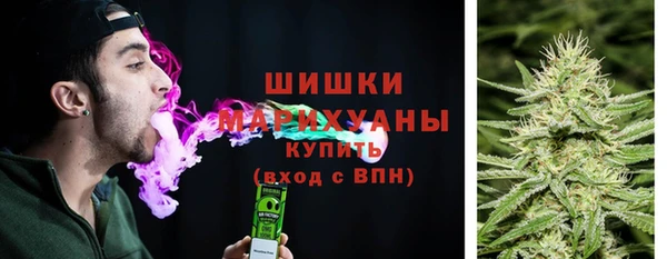 амф Переславль-Залесский