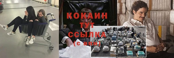 амф Переславль-Залесский