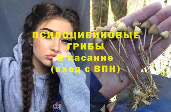 круглые Пестово